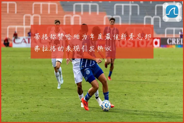 蒂格称赞哈珀为年度最佳新秀忘却弗拉格的表现引发热议